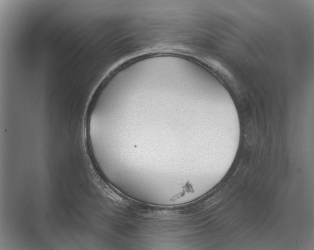 X0000074001280200609181759