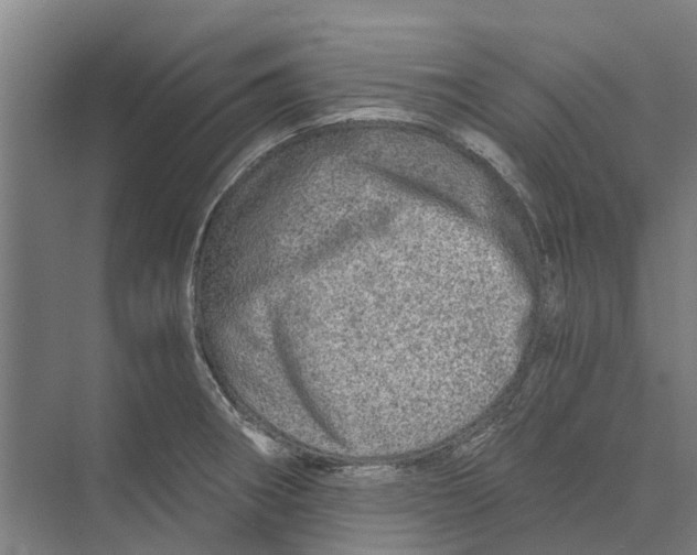 X0000074001282200609181759