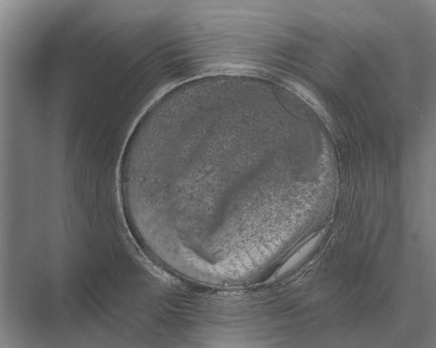 X0000074001283200609181759