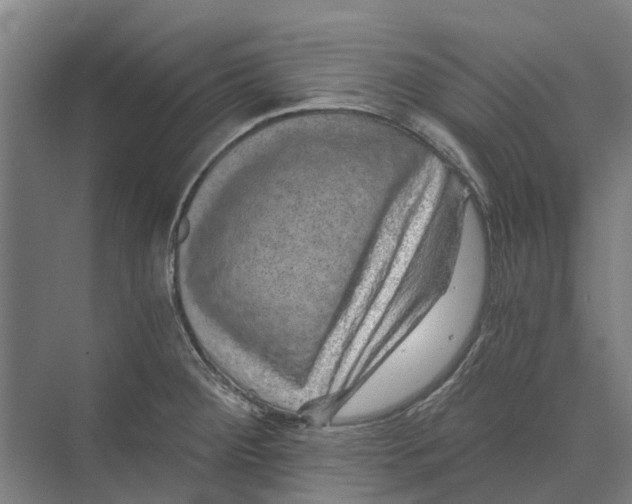 X0000074001284200609181758