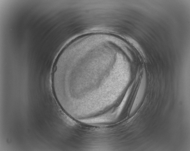 X0000074001288200609181758