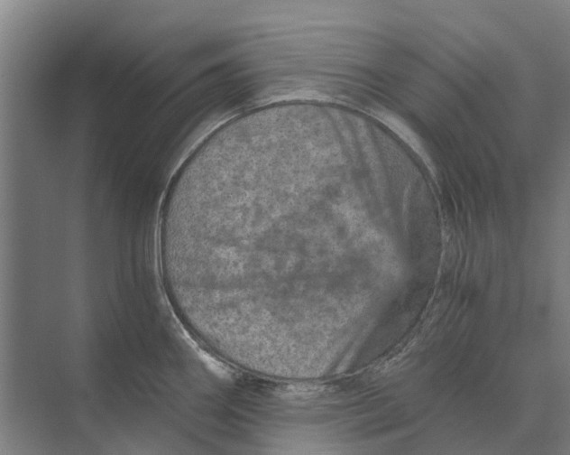 X0000074001290200609181758