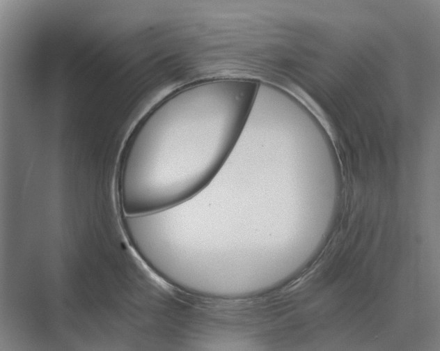 X0000074001293200609181758