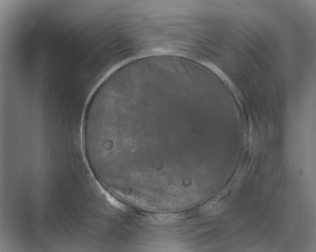 X0000074001294200609181758