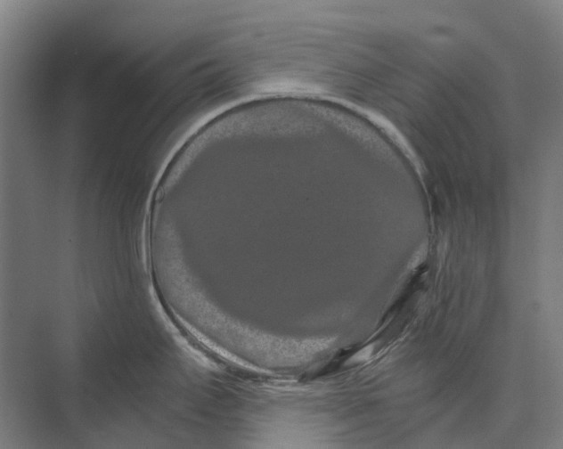 X0000074001295200609181758