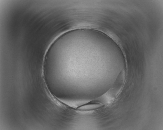 X0000074001296200609181758