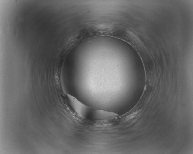 X0000074001298200609181758