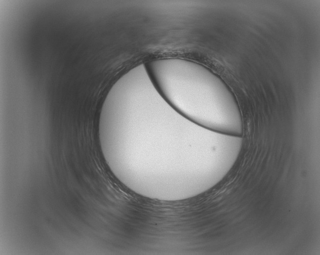 X0000074001300200609181758