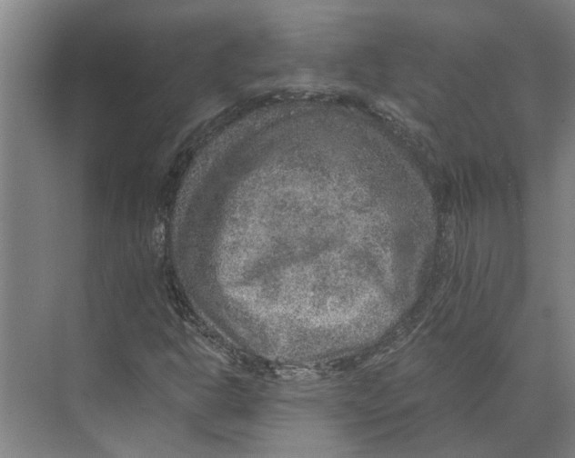 X0000074001302200609181758