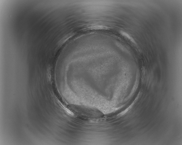 X0000074001305200609181758