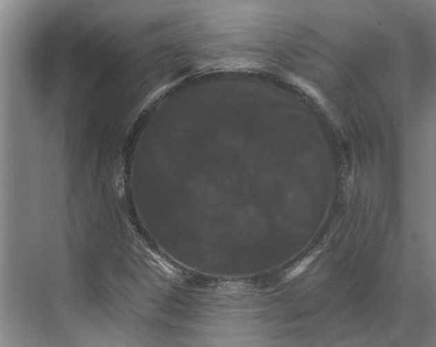 X0000074001306200609181758