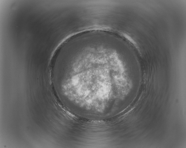 X0000074001310200609181758