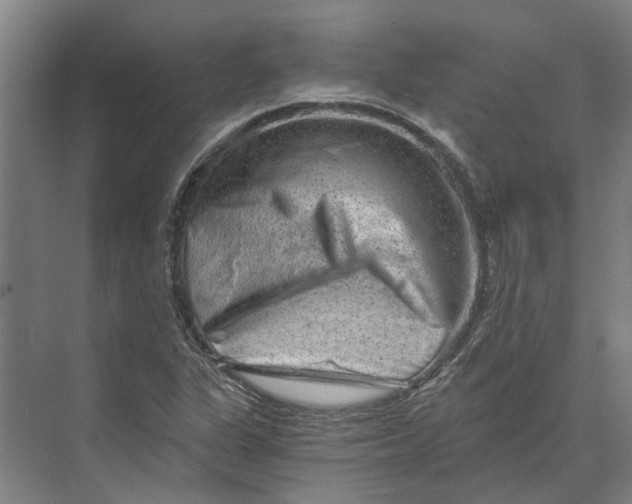 X0000074001311200609181758