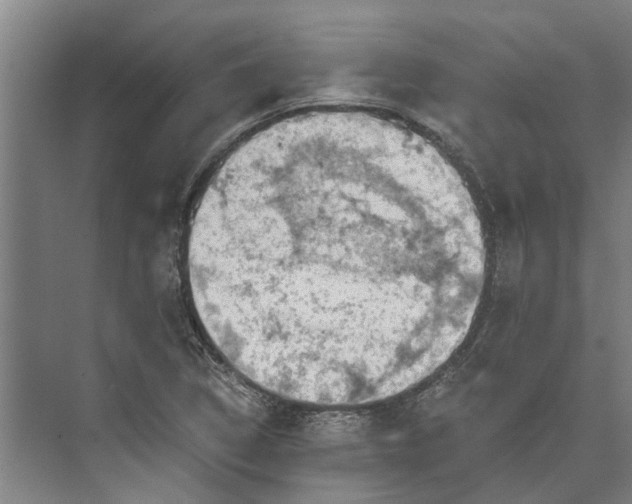 X0000074001314200609181758