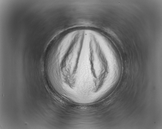 X0000074001318200609181758