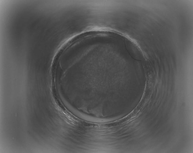 X0000074001319200609181758