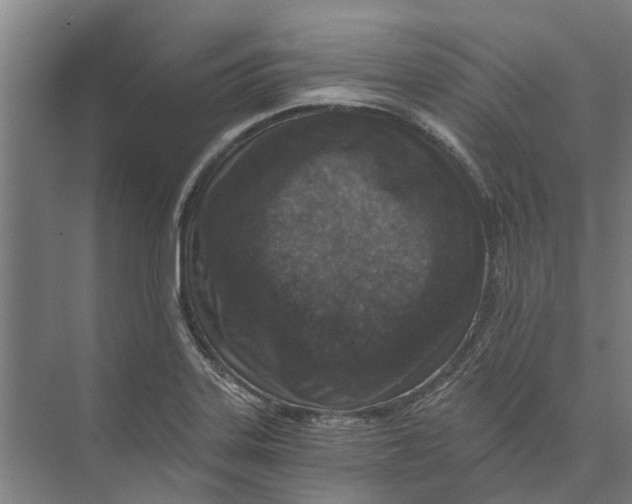 X0000074001323200609181758