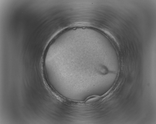 X0000074001325200609181758