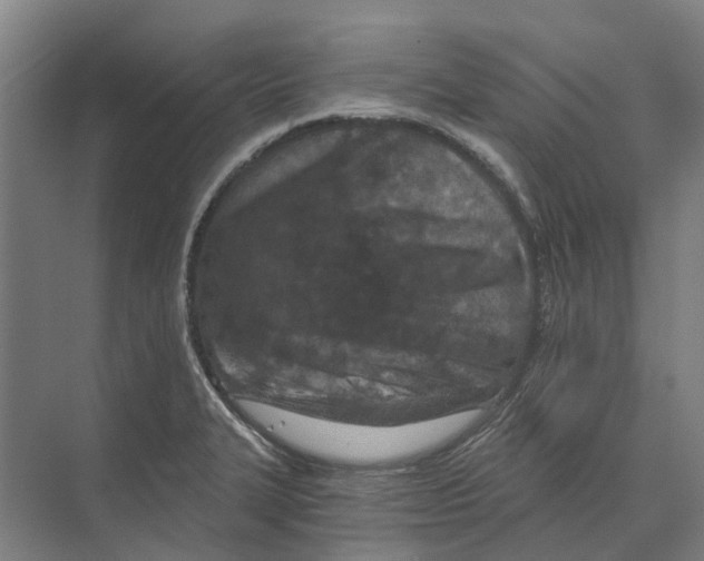 X0000074001327200609181758