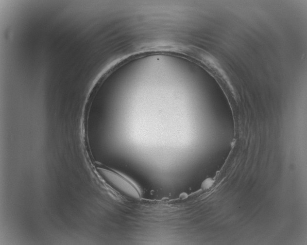 X0000074001328200609181758