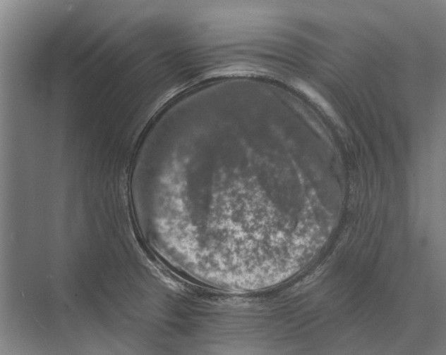 X0000074001329200609181758