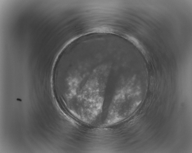 X0000074001331200609181758