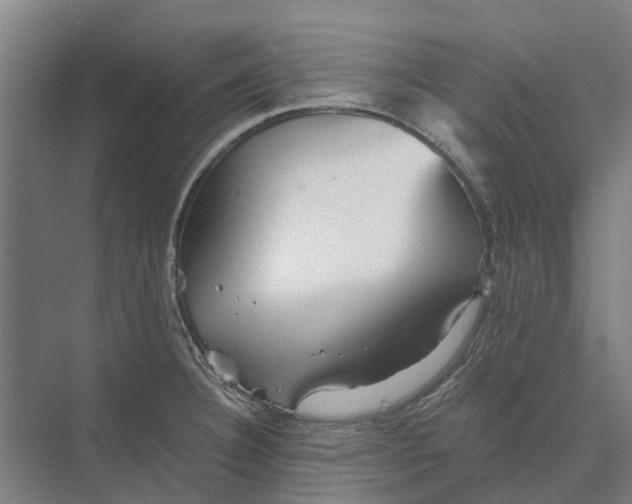 X0000074001332200609181758