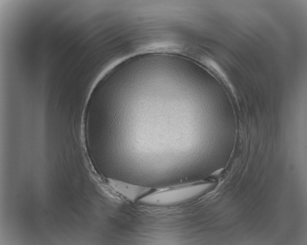 X0000074001336200609181758