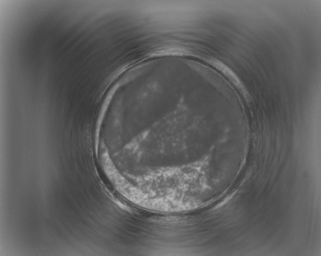 X0000074001337200609181758