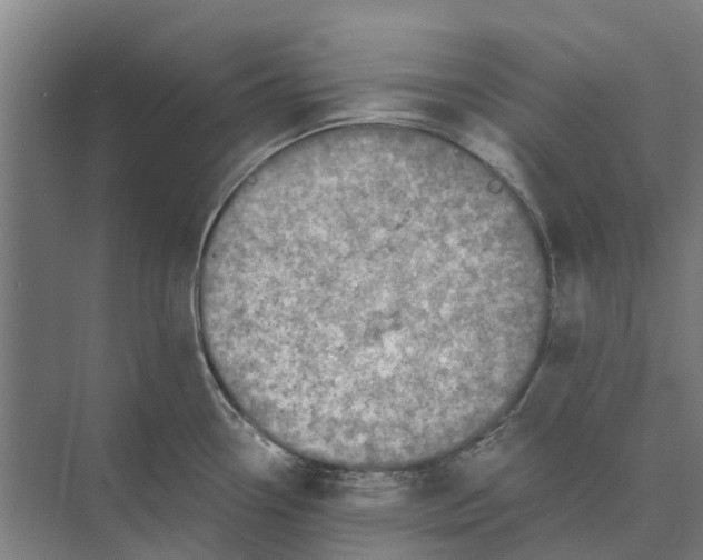 X0000074001338200609181758