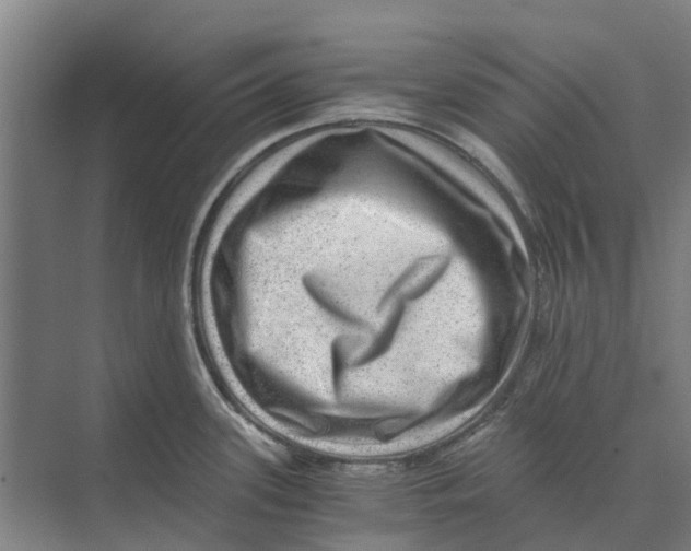 X0000074001339200609181758