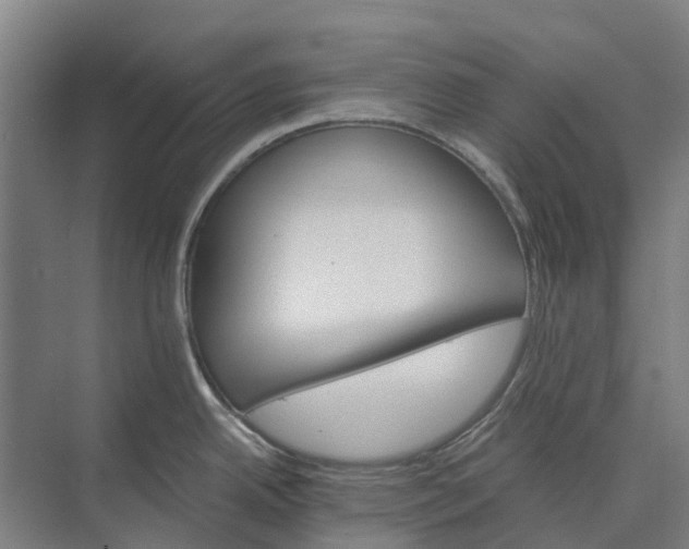 X0000074001342200609181758