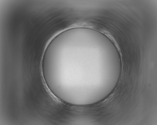 X0000074001344200609181758