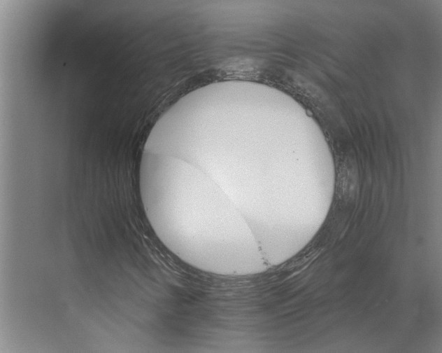 X0000074001346200609181757