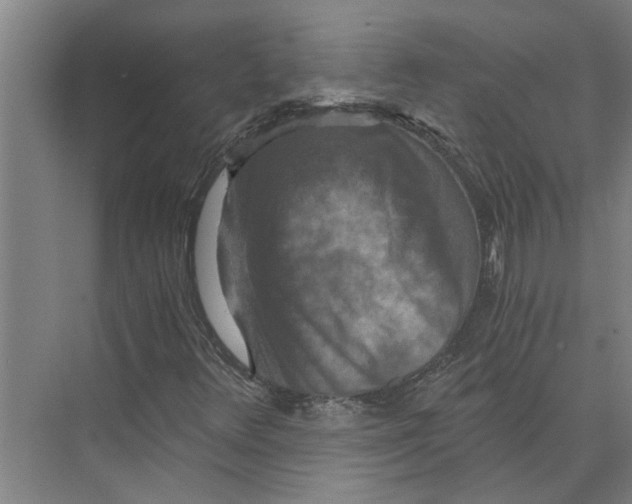 X0000074001348200609181757