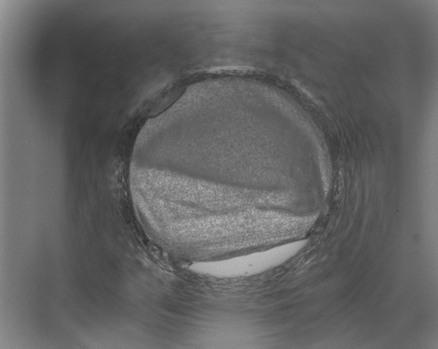 X0000074001351200609181757