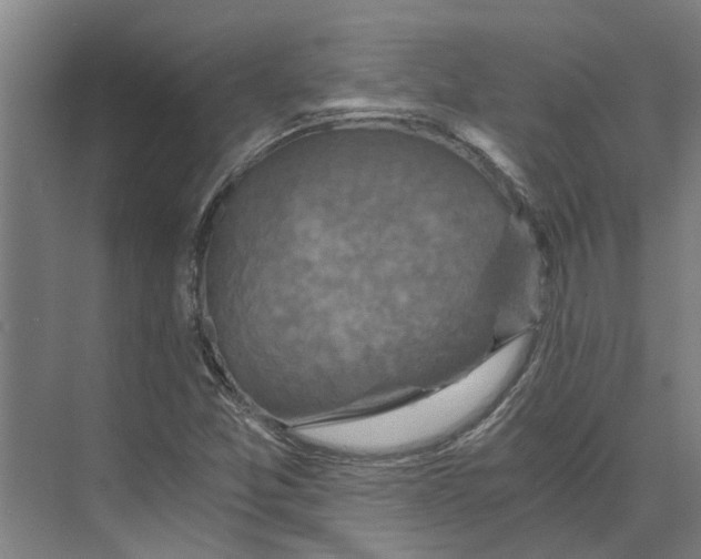 X0000074001357200609181757