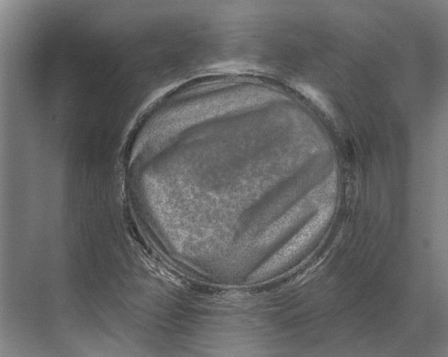 X0000074001358200609181757