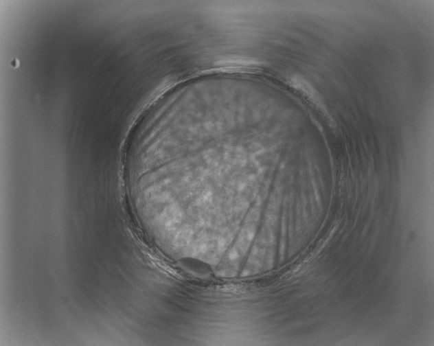 X0000074001362200609181757