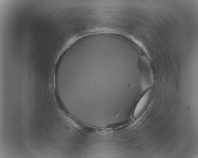 X0000074001365200609181757