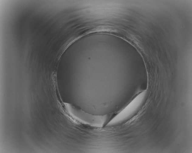 X0000074001369200609181757