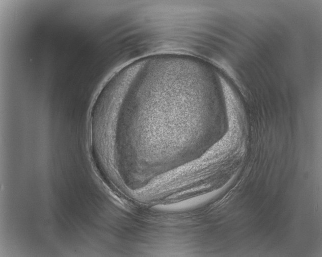 X0000074001371200609181757