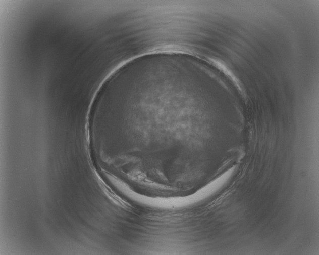 X0000074001372200609181757