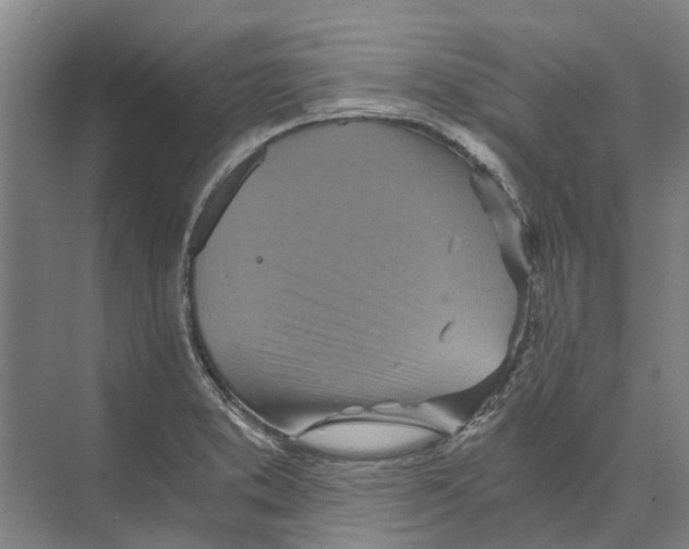 X0000074001373200609181757