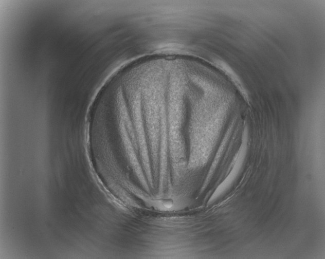 X0000074001376200609181757