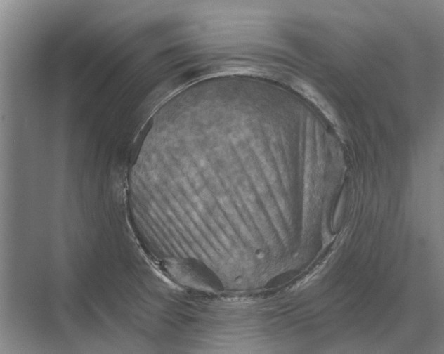 X0000074001377200609181757