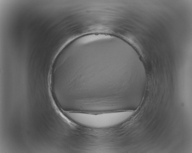 X0000074001383200609181757