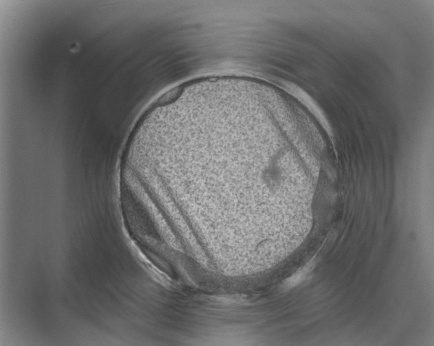 X0000074001388200609181757