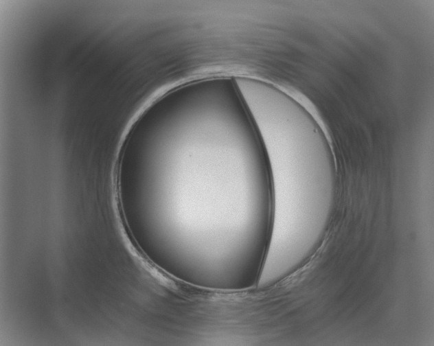 X0000074001389200609181757