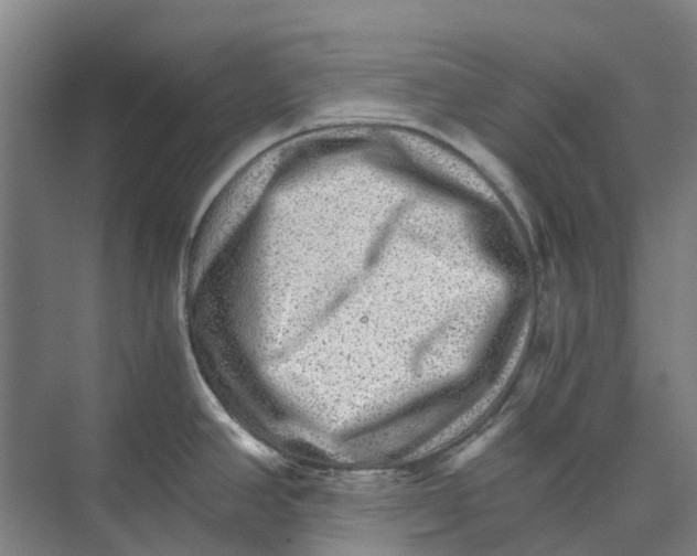 X0000074001390200609181757